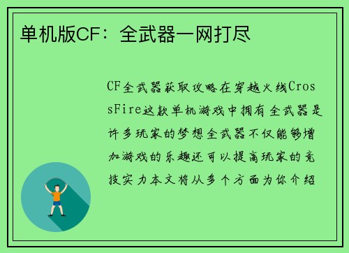 单机版CF：全武器一网打尽